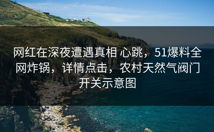 网红在深夜遭遇真相 心跳，51爆料全网炸锅，详情点击，农村天然气阀门开关示意图