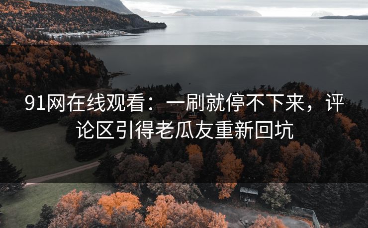 91网在线观看：一刷就停不下来，评论区引得老瓜友重新回坑