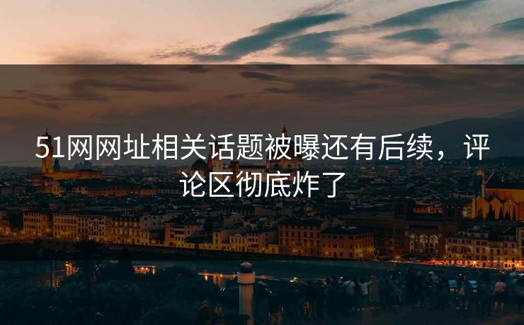 51网网址相关话题被曝还有后续，评论区彻底炸了