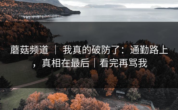 蘑菇频道 ｜ 我真的破防了：通勤路上，真相在最后｜看完再骂我